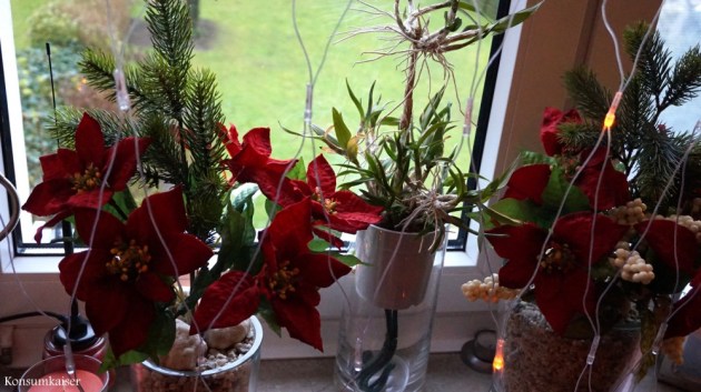 Eigentlich würde man schreiben, dass man noch "keine Zeit hatte" die Weihnachtsdeko abzunehmen. Ehrlich: Ich bin zu faul gewesen bisher! Februar ist fast vorbei!