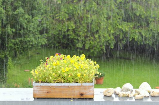 KK Regen ohne Ende 2016