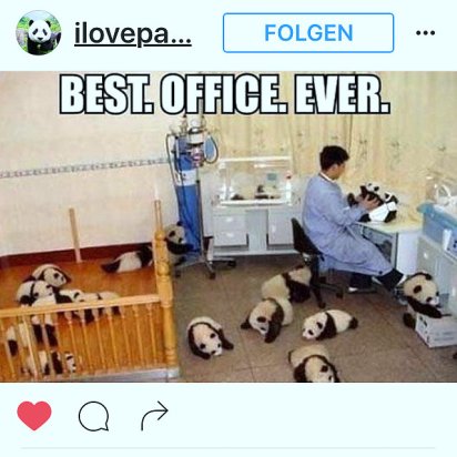 kk-insta-pandas